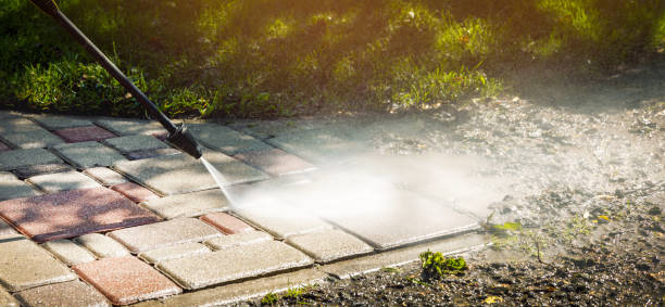 Best Paint Preparation  in Umatilla, FL